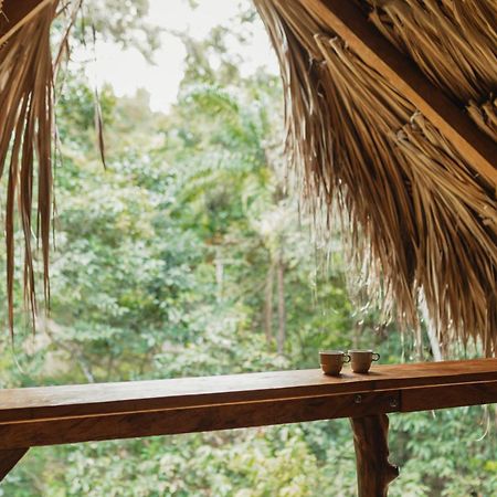 La Ponderosa Reserve Buritaca Exteriér fotografie