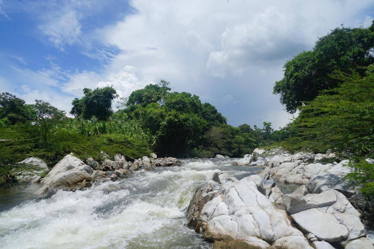 La Ponderosa Reserve Buritaca Exteriér fotografie