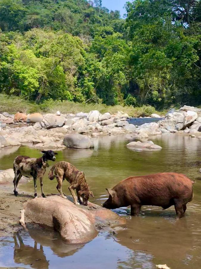 La Ponderosa Reserve Buritaca Exteriér fotografie