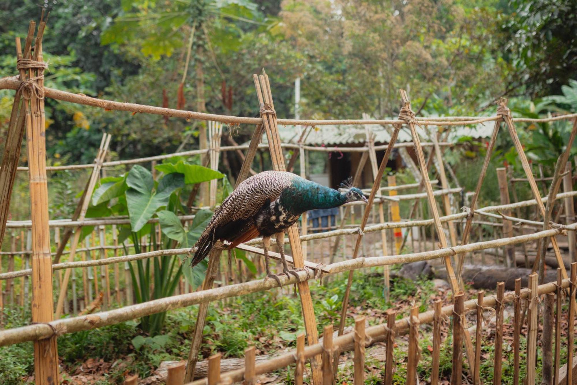 La Ponderosa Reserve Buritaca Exteriér fotografie